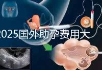 2025國(guó)外助孕費(fèi)用大公開：?jiǎn)紊砣耸抠M(fèi)用對(duì)比與機(jī)構(gòu)推薦