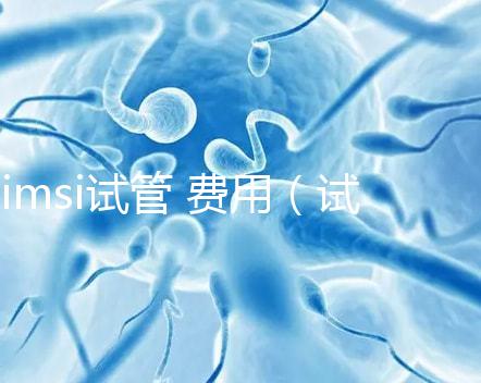 imsi試管 費(fèi)用(試管imsi是什么意思)